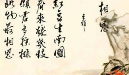 吃瓜等爆料唐诗唐十八,吃瓜群众揭秘唐诗背后的故事