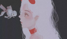 晚安做爱动漫,爱在动漫中绽放